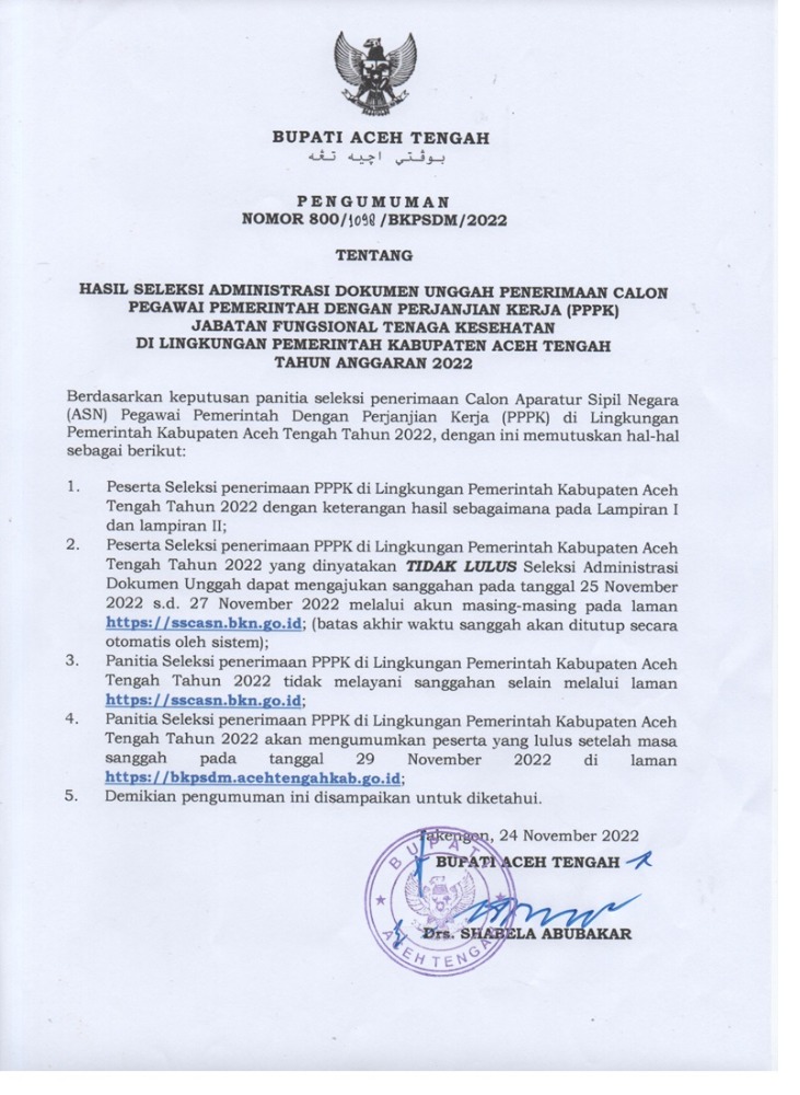 Pengumuman-surat_hasil_seleksi_adm_tenaga_kesehatan-11.jpg